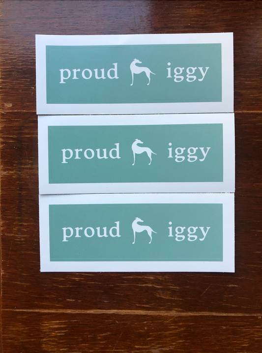 Proud Iggy Logo Stickers - 3 Pack